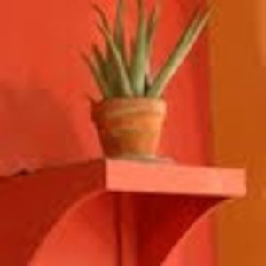 Meet your Posher, Vicki